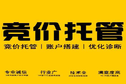 百度推广实战：成功企业的营销策略